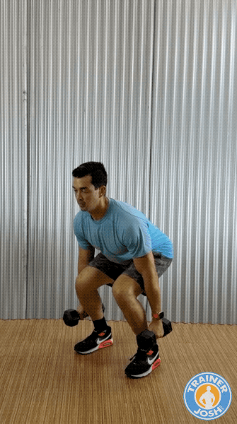 dumbbell jump squats dumbbell jump squat exercise demonstration