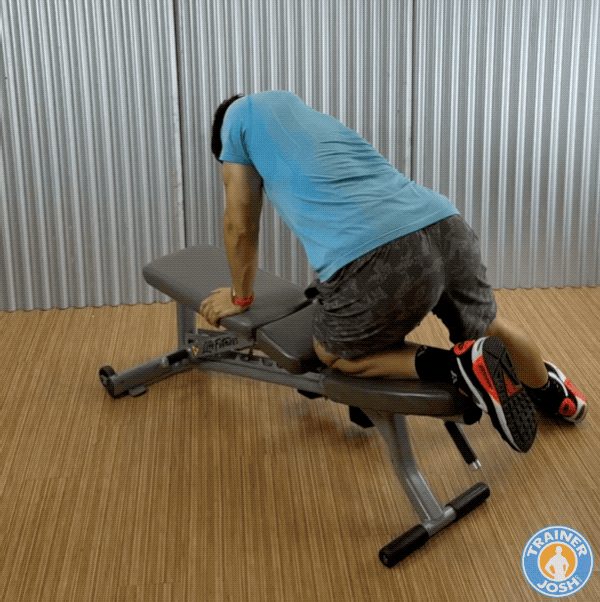 dumbbell kneeling hip raise back view dumbbell kneeling hip raise (back view) exercise demonstration
