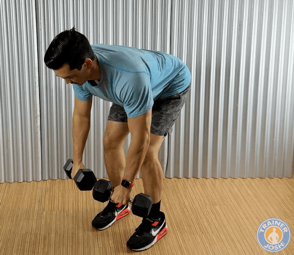 dumbbell reverse flyes dumbbell reverse flyes exercise demonstration