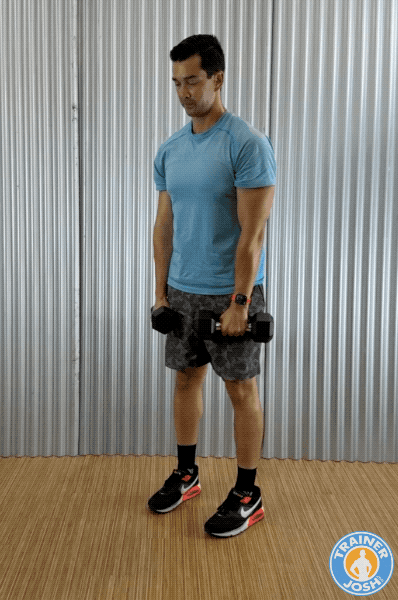 dumbbell romanian deadflit RDL dumbbell romanian deadlift exercise demonstration