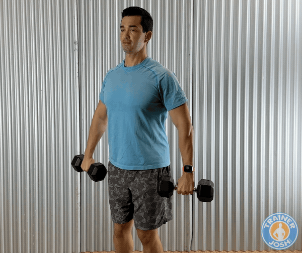 dumbbell side raises dumbbell side raise exercise demonstration