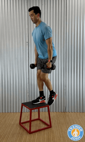 dumbbell step ups dumbbell step-ups exercise demonstration
