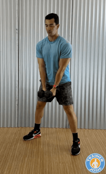 dumbbell sumo squats dumbbell sumo squat exercise demonstration