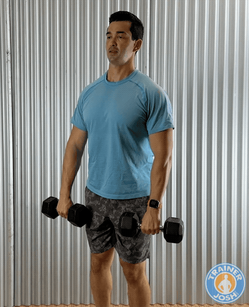 dumbbell upright row dumbbell upright row exercise demonstration