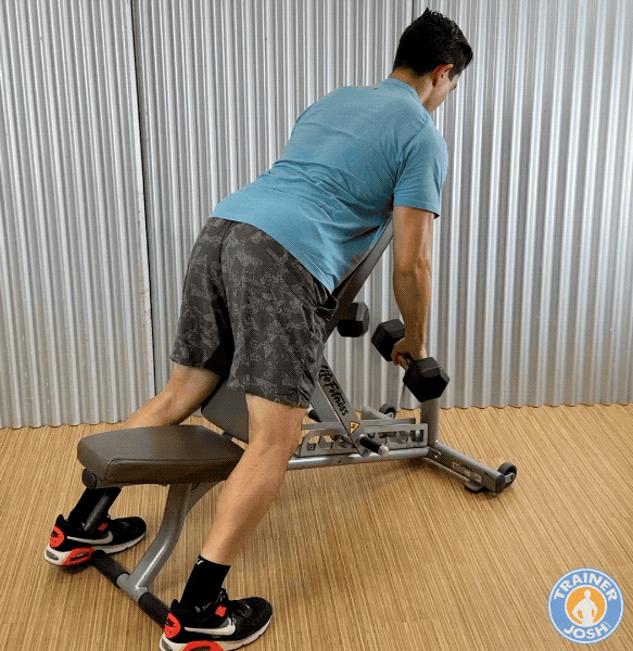 incline dumbbell reverse flyes incline dumbbell reverse flyes exercise demonstration