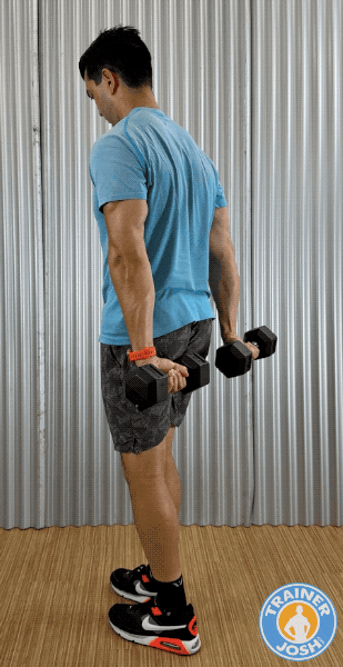 dumbbell behind the back wrist curls dumbbell behind the back wrist curls exercise demonstration