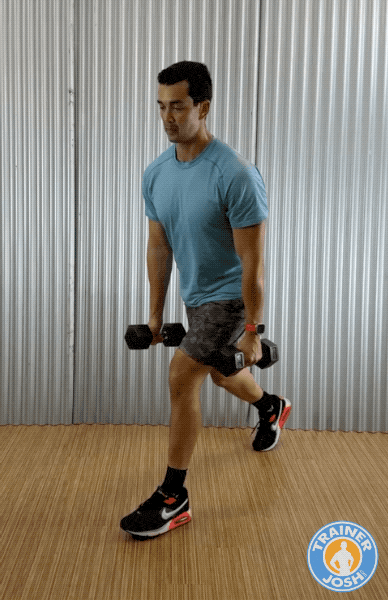 dumbbell split squats