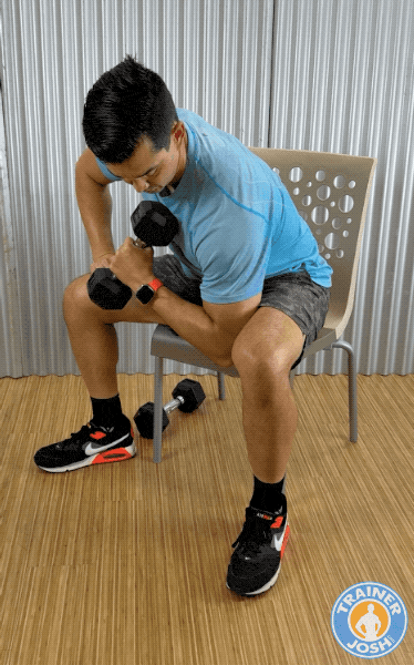 dummbell concentration hammer curls dummbell concentration hammer curls exercise demonstration