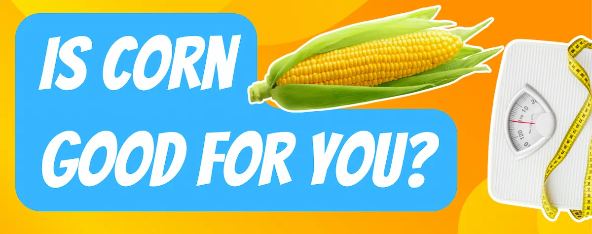 is corn good for you or fattening