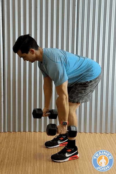 dumbbell bent over rows dumbbell bent-over rows