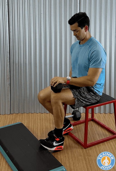 dumbbell one leg seated calf raises dumbbell one leg seated calf raises exercise demonstration
