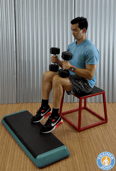dumbbell seated calf raises dumbbell seated calf raises exercise demonstration
