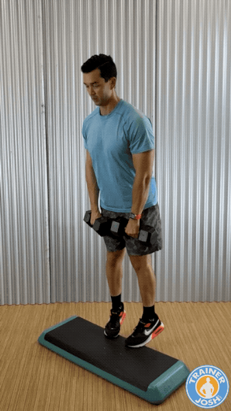 dumbbell standing calf raises toes in dumbbell standing calf raises toes in exercise demonstration