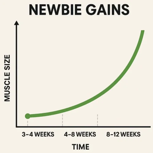 newbie gains beginner results graph edited e1755559787583 newbie gains beginner results graph