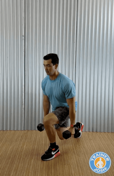 dumbbell lunge hops dumbbell lunge hops