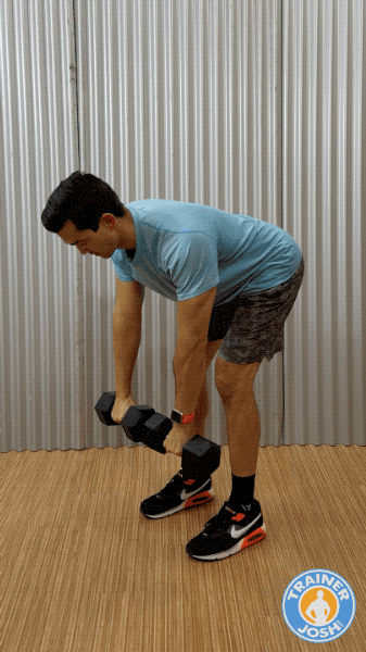 dumbbell high row exercise demonstration