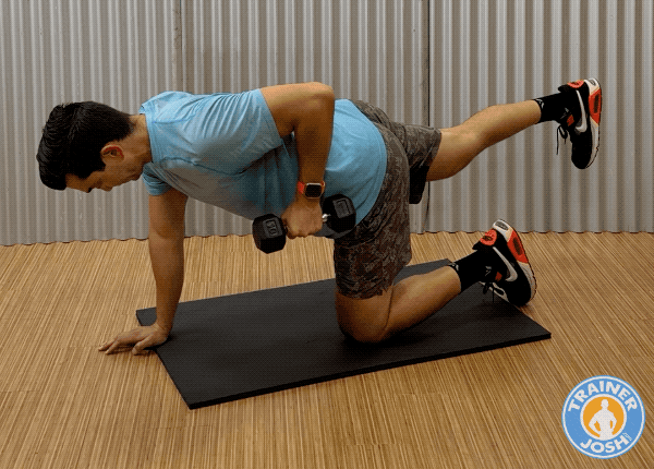 bird dog row exercise demonstration