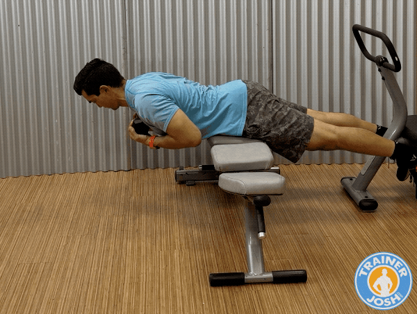 dumbbell back extensions at home exercise demonstration