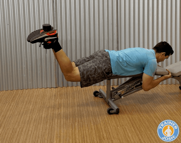 dumbbell reverse hyperextensions at home