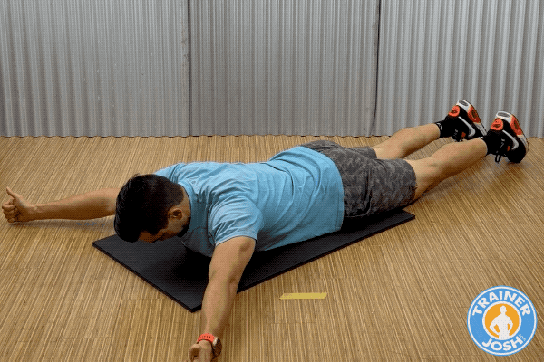 Prone Y-T-W Raises exercise demonstration