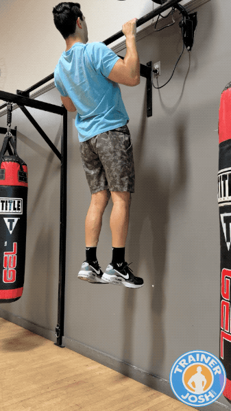 pull ups pull-ups exercise demonstration
