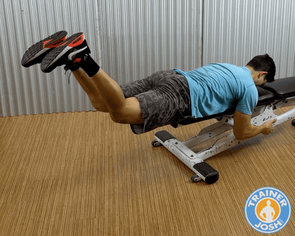 reverse hyperextensions