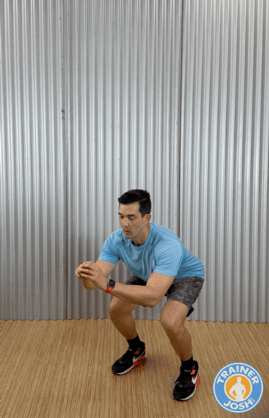 bodyweight jump squats bodyweight squat jumps exercise demonstration