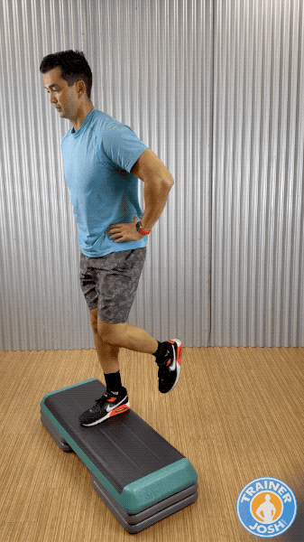 deficit reverse lunges bodyweight deficit reverse lunges exercise demonstration