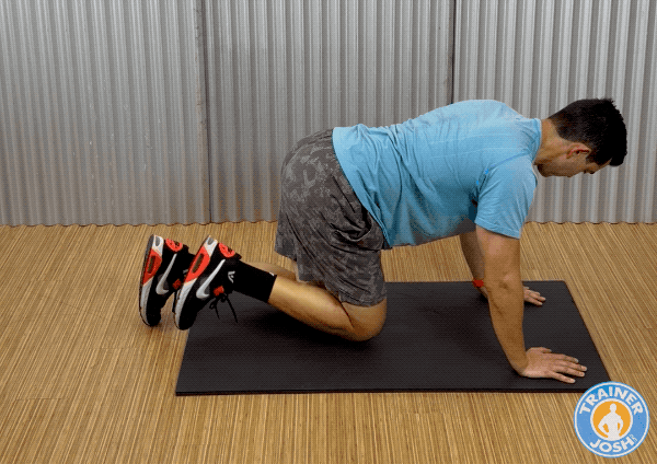 donkey kicks bodyweight donkey kicks exercise demonstration