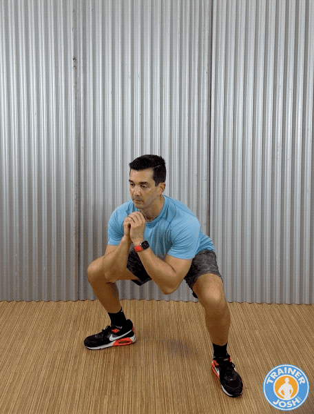 sumo squats bodyweight sumo squats exercise demonstration