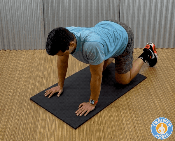 cat camel exercise demonstration