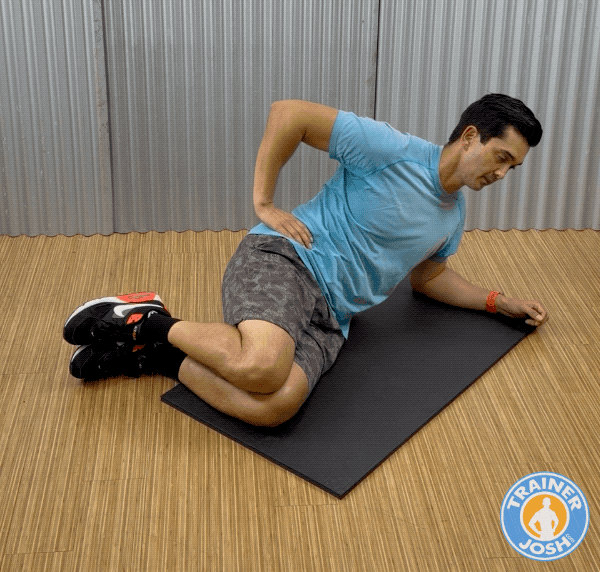 mcgill modified side plank exercise demonstration