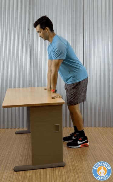 mcgill park bench decompression exercise demonstration