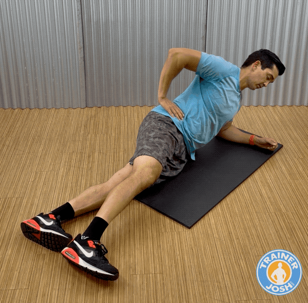mcgill side plank exercise demonstration