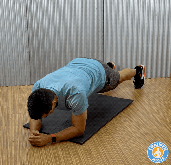 mcgill stop twist exercise demonstration