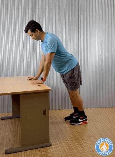 modified bird dog on table exercise demonstration