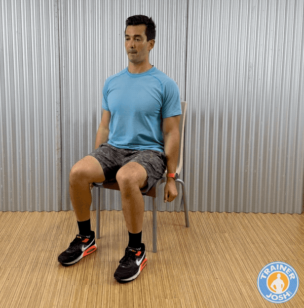 seated arm raises chair exercise demonstration