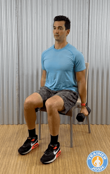 seated bicep curls chair exercise demonstration for seniors