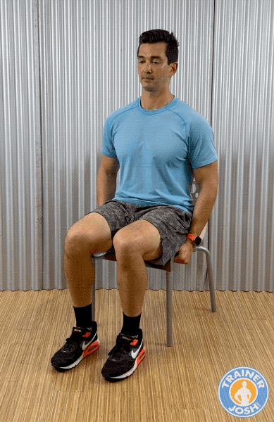seated marches chair exercise demonstration